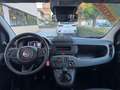 Fiat Panda 1.0 FireFly Hybrid S&S 70cv KmZero *PREZZO REALE* Rouge - thumbnail 7