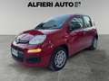 Fiat Panda 1.0 FireFly Hybrid S&S 70cv KmZero *PREZZO REALE* Rouge - thumbnail 3