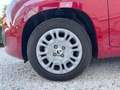 Fiat Panda 1.0 FireFly Hybrid S&S 70cv KmZero *PREZZO REALE* Rouge - thumbnail 14
