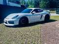 Porsche Cayman GT4*1.Hd*Dt.Fzg*Approved*Klappe*Sammler*Navi* Blanc - thumbnail 2