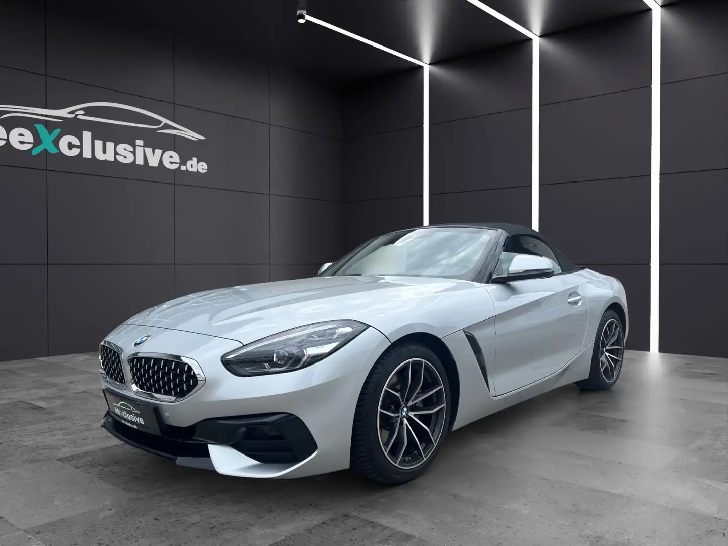 BMW Z4 Roadster 20i SportLine Exclusive Leder Navi Silver - 1
