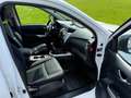 Nissan Navara Navara Double Cab 4x4 2,3 dCi N-Connecta N-Connecta Weiß - thumbnail 17