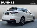 Maserati Levante Modena - Maserati Regensburg Weiß - thumbnail 2