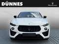 Maserati Levante Modena - Maserati Regensburg Weiß - thumbnail 8