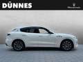 Maserati Levante Modena - Maserati Regensburg Weiß - thumbnail 6