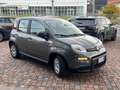 Fiat Panda 1.0 FireFly S&S Hybrid City Life Grau - thumbnail 3