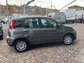 Fiat Panda 1.0 FireFly S&S Hybrid City Life Grijs - thumbnail 4