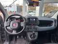 Fiat Panda 1.0 FireFly S&S Hybrid City Life Grau - thumbnail 8