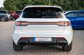 Porsche Macan S PANO/SOURROUND VIEW/LED/ACC/ VOLL Weiß - thumbnail 14