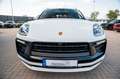 Porsche Macan S PANO/SOURROUND VIEW/LED/ACC/ VOLL Weiß - thumbnail 15