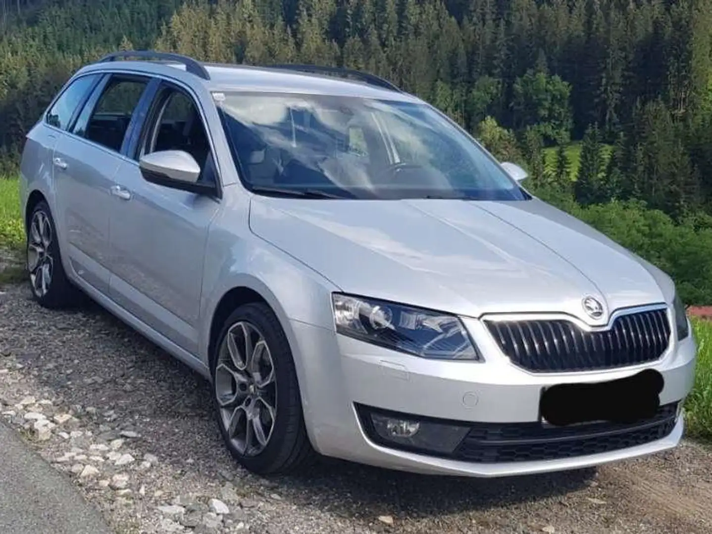 Skoda Octavia Octavia Combi 2,0 Elegance TDI 4x4 Green tec Argintiu - 2