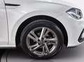 Volkswagen Polo 1.0 tsi r-line 95cv dsg Grigio - thumbnail 12