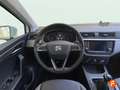SEAT Ibiza 1.0 TGI 66kW (90CV) Reference Plus Blanco - thumbnail 14