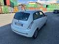 Lancia Ypsilon 1.2 69 CV 5 porte S&S Platinum GPL Bianco - thumbnail 6