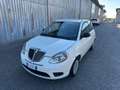 Lancia Ypsilon 1.2 69 CV 5 porte S&S Platinum GPL Bianco - thumbnail 3