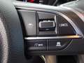 Suzuki Swift 1,2 Hybrid DualJet Allgrip Shine, "SOFORT VERFÜ... Blau - thumbnail 19