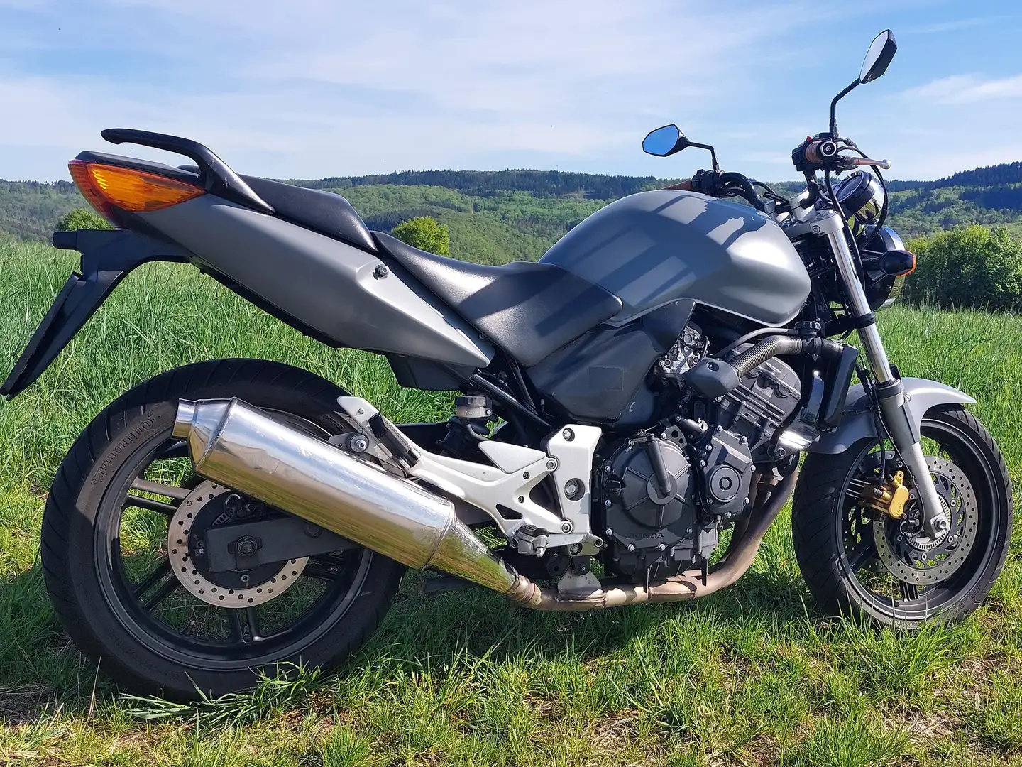 Honda CBF 600 CBF 600 N (PC38) Gris - 2