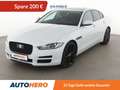 Jaguar XE 20d Portfolio Aut.*NAVI*BI-XENON*ACC*CAM*PDC*SHZ* Blanc - thumbnail 1