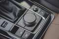 Mazda CX-30 2.0 e-SkyActiv-X M Hybrid Luxury 360 Camera | Lede Blauw - thumbnail 35
