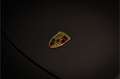 Porsche 991 Cabrio 3.8 Carrera S Anthracite Brown Gris - thumbnail 41