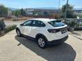 Volkswagen Taigo 1.0 tsi Life 95cv Bianco - thumbnail 6