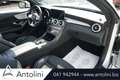Mercedes-Benz C 180 Auto Cabrio Premium "AMG LINE" Silber - thumbnail 8