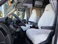 Fiat Ducato MC LOUIS YEARLING 89G SERIE LIMITEE Wit - thumbnail 8