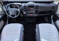 Fiat Ducato MC LOUIS YEARLING 89G SERIE LIMITEE Wit - thumbnail 10