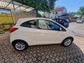 Ford Ka/Ka+ 1.2 69CV TITANIUM*16.000KM PARI AL NUOVO*GARANZIA* Bianco - thumbnail 3