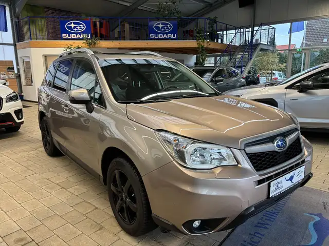 Subaru Forester Exclusive