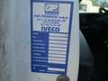 Iveco Daily 35C16 3000 160CV E6 FRIGO FRCX 06/2027 *SINISTRATO Blanc - thumbnail 14
