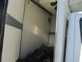 Iveco Daily 35C16 3000 160CV E6 FRIGO FRCX 06/2027 *SINISTRATO Blanc - thumbnail 11