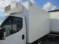 Iveco Daily 35C16 3000 160CV E6 FRIGO FRCX 06/2027 *SINISTRATO Blanc - thumbnail 6