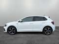 Volkswagen Polo Highline R-Line 1.0 TSI DSG/ LED, ACC, Pano Weiß - thumbnail 5
