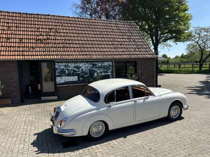 Jaguar MK II 3.8, Old English White