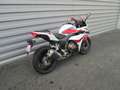 Honda CBR 500 R Bianco - thumbnail 3
