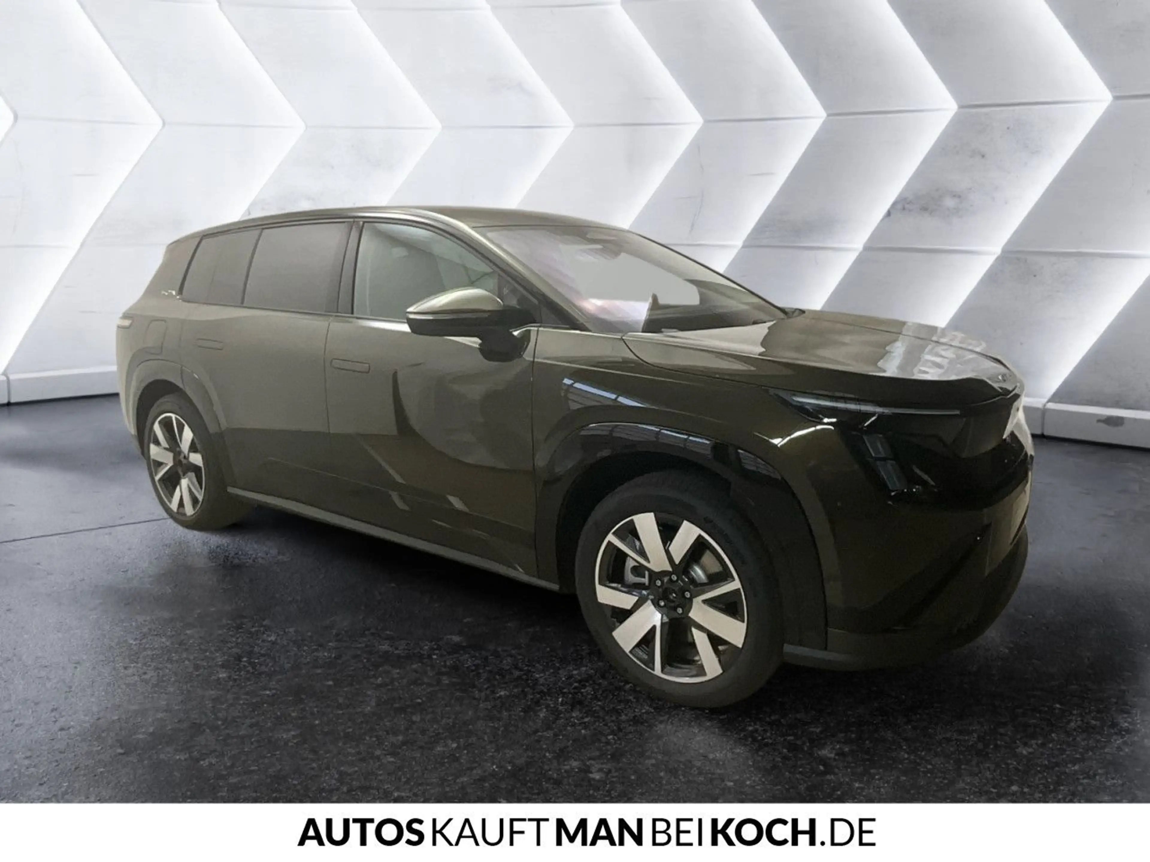 Skoda Peaq Selection 90 AHK MATRIX NAVI Bluetooth LED — photo 6