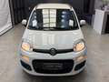 Fiat Panda 1.3 mjt 16v Easy s&s 95cv Bianco - thumbnail 10