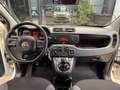 Fiat Panda 1.3 mjt 16v Easy s&s 95cv Bianco - thumbnail 13