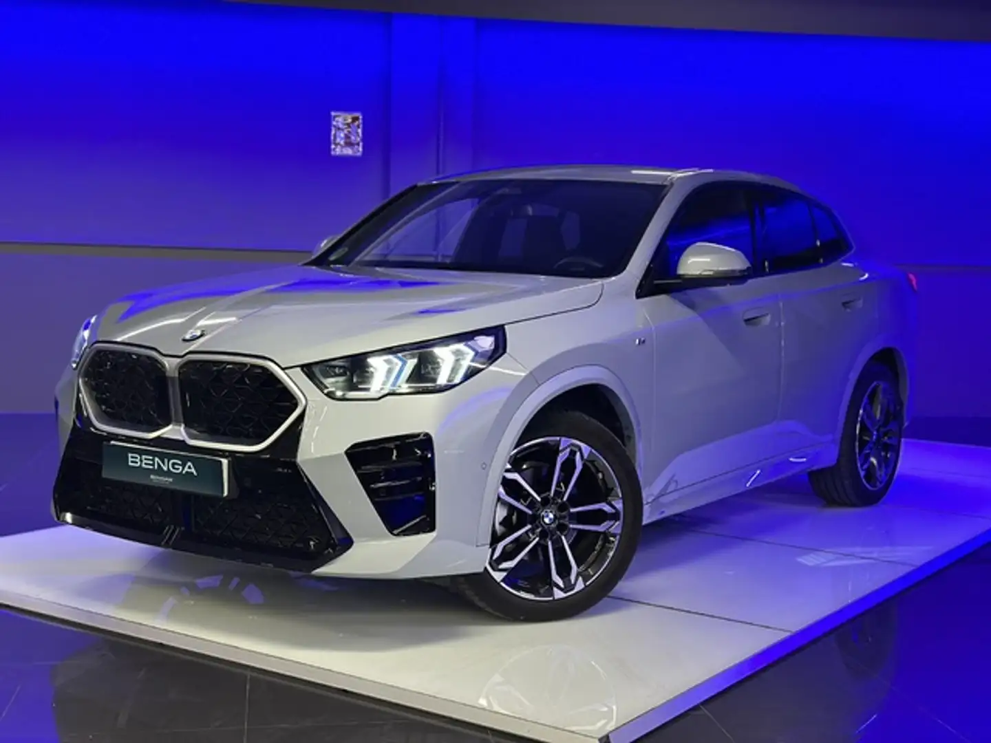 BMW X2 sDrive 18dA Gris - 1