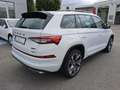 Skoda Kodiaq 2.0 TSI RS 4x4 OPF AHK Virtual Cockpit Weiß - thumbnail 3