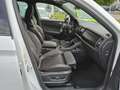 Skoda Kodiaq 2.0 TSI RS 4x4 OPF AHK Virtual Cockpit Weiß - thumbnail 4