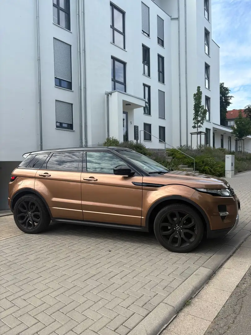 Land Rover Range Rover Evoque TD4 Aut. Prestige Leder, Navi, Klima, Rückfahrkam Bronze - 2