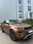 Land Rover Range Rover Evoque TD4 Aut. Prestige Leder, Navi, Klima, Rückfahrkam Bronze - thumbnail 1