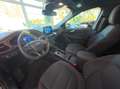 Ford Kuga Kuga 2.5 Full-Hybrid ST-Line 190cv cvt Blu/Azzurro - thumbnail 13