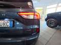 Ford Kuga Kuga 2.5 Full-Hybrid ST-Line 190cv cvt Blu/Azzurro - thumbnail 12