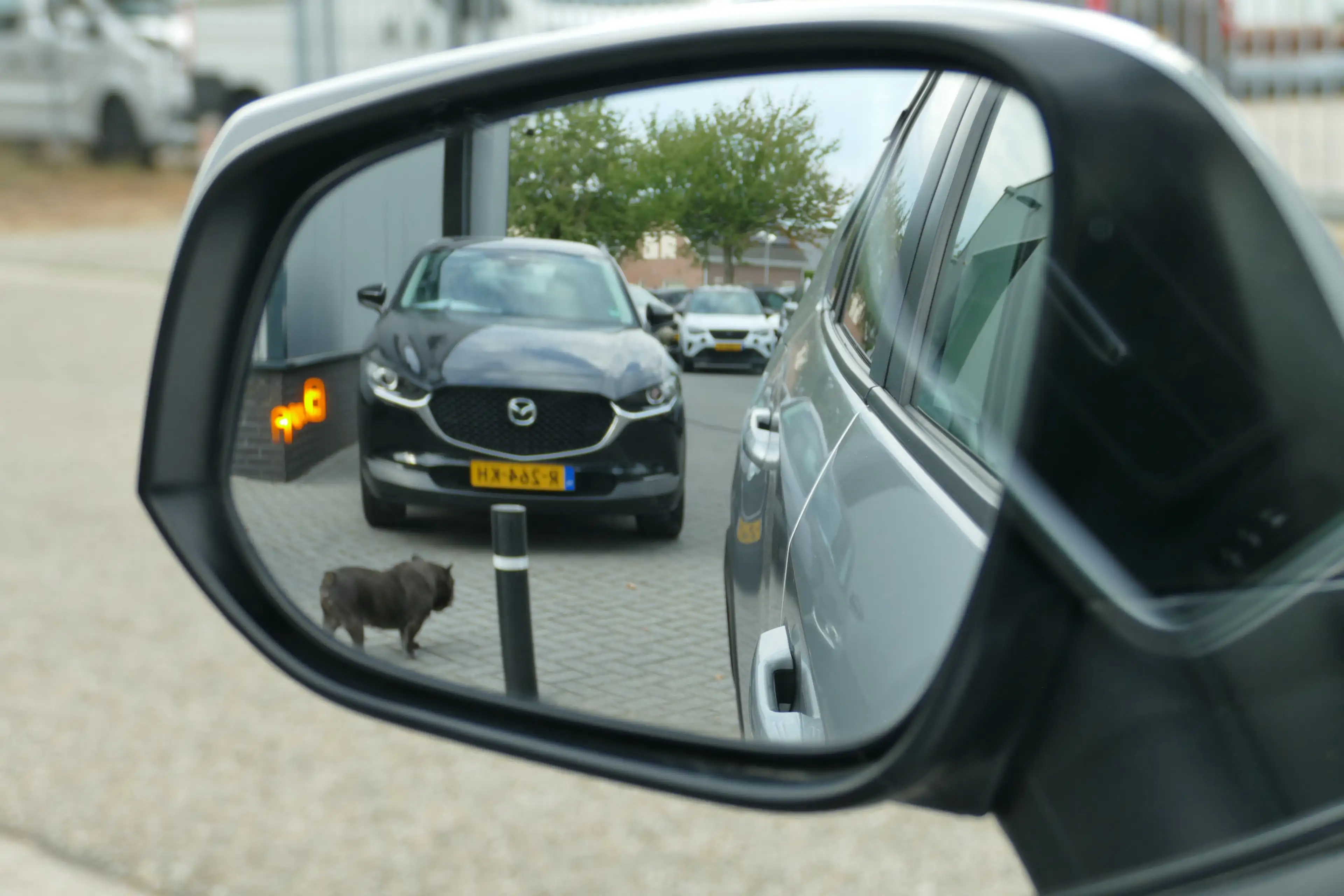 Toyota RAV 4 2.0 VVT-iE Dynamic. 360 Camera, Adap Cruise, Clima — photo 30