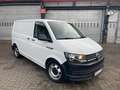 Volkswagen T6 Transporter Kasten-Kombi Kasten Bulli Blanc - thumbnail 2