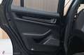 Porsche Panamera Turbo S E-Hybrid*Pano*Burmester*PPF Gris - thumbnail 27