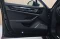 Porsche Panamera Turbo S E-Hybrid*Pano*Burmester*PPF Gris - thumbnail 21